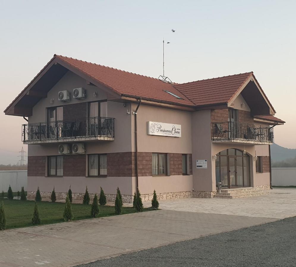 Pensiunea Oana ☆☆☆ Soimus Екстериор снимка